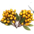 thumbnail image 2 of Coofit Artificial Fruit Realistic Fake Foam Decor Fruit Home Decoration, 2 of 6