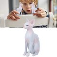thumbnail image 4 of Noref Hairless Cat Model Ornament,Simulation Hairless Cat Model Home Ornaments Desktop Decoration Kid Children Toy,Hairless  Cat Model, 4 of 8