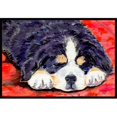 thumbnail image 1 of Carolines Treasures SS8828MAT Bernese Mountain Dog Tapis Intérieur Extérieur - 18 x 27 Po., 1 of 4