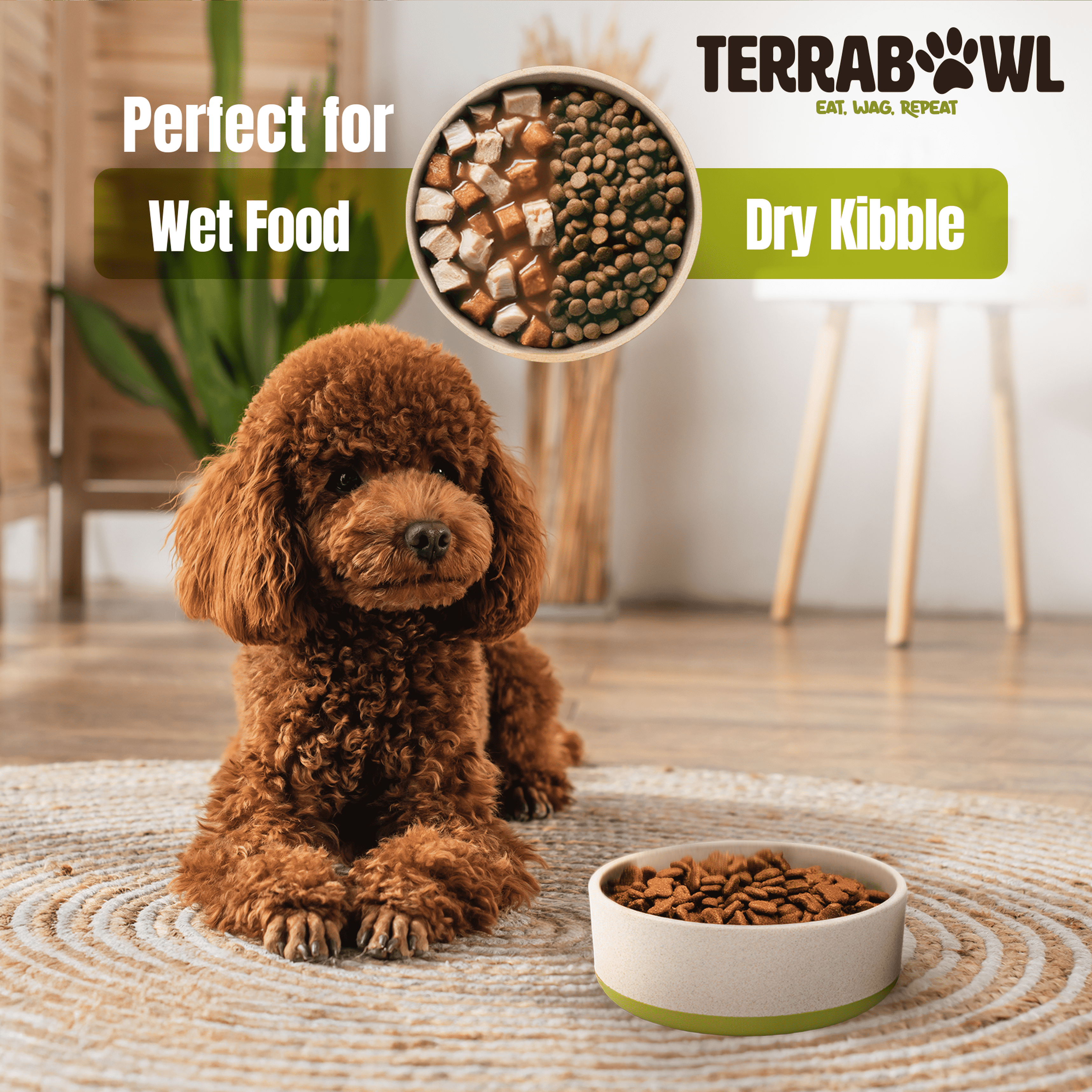 TerraBowl 28 oz. Bol pour Animaux de Compagnie Écologique, Antidérapant avec Couvercle pour Chiens et Chats