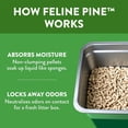 thumbnail image 3 of Arm & Hammer Feline Pine Non-Clumping Natural Cat Litter, 9.07 kg, 3 of 5