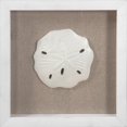 thumbnail image 1 of hometrends Framed Underglass Sea Shells Wall Art, 1 of 1