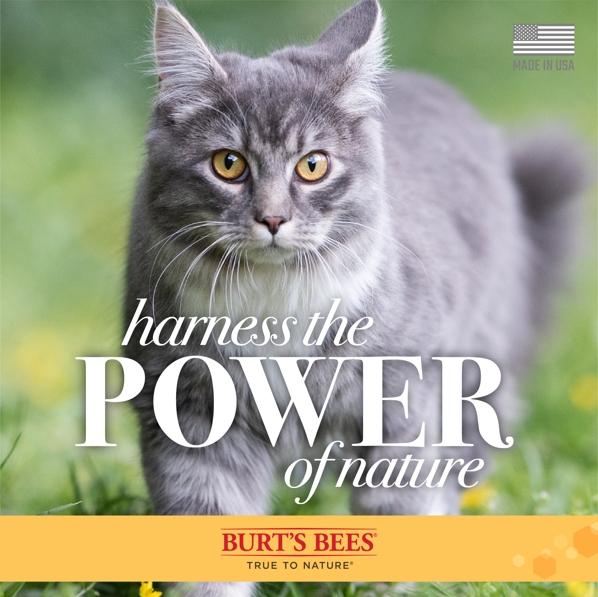 Burt's Bees For Cat Waterless Shampoo 10 oz