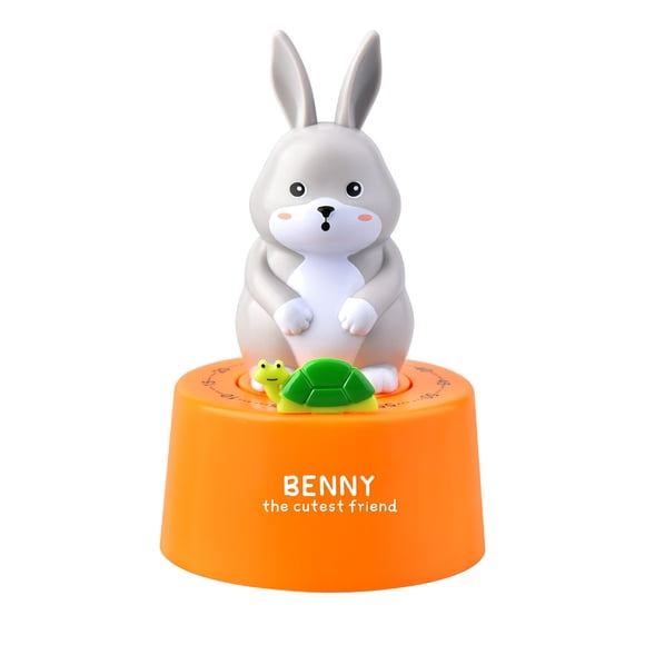 60 Minute Visual Countdown Timer, Loud Sound Cute Kitchen Timer for Study for Baking RB576 Green,RB576 Orange,RB713 Orange,RB714 Green