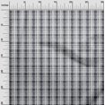 thumbnail image 2 of oneOone Cotton Silk Fabric Check Kasuri Decor Fabric Printed BTY 42 Inch Wide, 2 of 4
