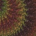 thumbnail image 1 of Ahgly Company Tapis d'Intérieur Lavable en Machine Carré Transitionnel Rouge Brun, 5 Pieds Carré, 1 of 7
