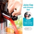 thumbnail image 3 of Shine Kitchen Co SJV-107-A Extracteur à Mastication Lente à Pression à Froid en Acier Inoxydable, 3 of 5