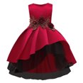 thumbnail image 1 of EGNMCR Vêtements pour Bébé Fille Vêtements pour Tout-Petites Filles Tulle Tempérament Fleurs Nœud Papillon Robe de Fête d'Anniversaire Longue Robes, 1 of 8