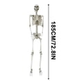 thumbnail image 1 of TopLLC Halloween Decor Fall Decor Halloween Skeleton Decoration Whole Body Halloween Hanging Skeleton Decoration With Movable Joints For Halloween Graveyard Haunted House Decoration, 1 of 4