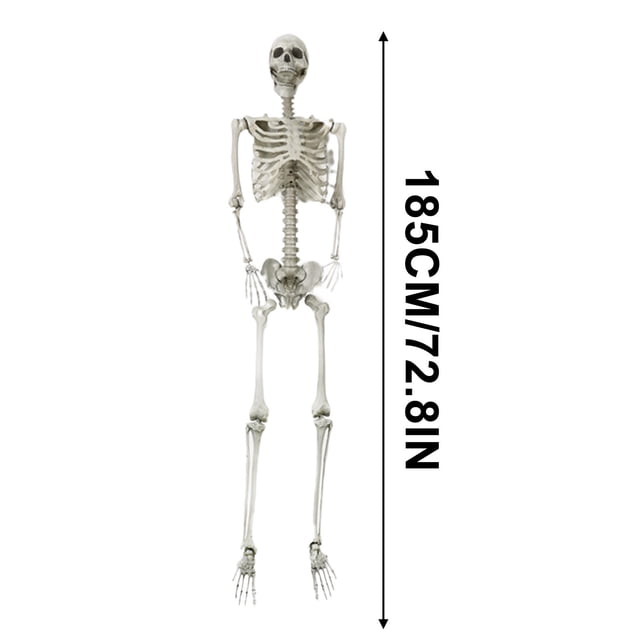 TopLLC Halloween Skeleton Decoration, a full-body hanging skeleton with movable joints, measuring 185 cm (72.8 inches) in height. Made from durable plastic, it features realistic details and adjustable joints for customizable poses. Ideal for Halloween graveyard or haunted house decorations, it can be hung from trees, doors, or used as a tabletop accent.