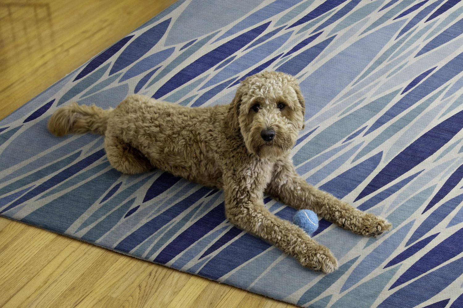 Tapis d'extérieur lavable Pompano bleu & ivoire 5 pi x7 pi