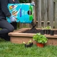 thumbnail image 3 of Miracle-Gro Sea Mix 25L, 3 of 5