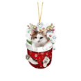 thumbnail image 1 of Christmas Decorations Acrylic Stockings for Cats - Tree Hangs Festive Crafts Unique Holiday for Home Decoration, 1 of 4