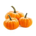 thumbnail image 2 of Seeds are Easy-Pumpkin, 2 of 2