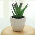 thumbnail image 2 of Coofit Mini Potted Succulent Lifelike - Artificial Plant Faux Succulent in Pot for Home, 2 of 4