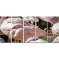 thumbnail image 2 of Pat of Flamingos Close Up - Abstract Canvas Art Print, 2 of 3