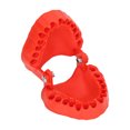 thumbnail image 1 of Denture Bit Organizer, Special Tooth Die Design 28 Drill Holes Denture Drill Bit Holder Versatile Use Shock Resistant  for DIY Kit Red, 1 of 7