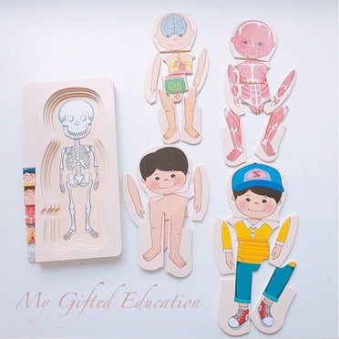 Casse-Tête en Bois à 5 Couches Garçon/fille Parties du Corps Humain - Casse-Têtes en Bois d'Anatomie - Jouet d'Apprentissage Montessori Waldorf STIM Préscolaire - Cadeau pour Enfants
