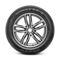 thumbnail image 3 of Radar Dimax AS 8 295/35R24XL 110V BSW Tire, 3 of 6