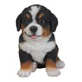 thumbnail image 1 of Hi Line Gift Bernese Mountain Dog Puppy Statue, 1 of 5