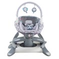 thumbnail image 1 of Fisher-Price 4-in-1 Rock 'n Glide Soother, 1 of 7