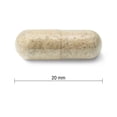 thumbnail image 3 of Jamieson Capsules d'Échinacée Biologique à Puissance Élevée 1 200 mg, 3 of 3