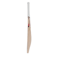 thumbnail image 3 of Turbo Scoop Cricket Bat Jet - Hard Tennis Bat | Kashmir Willow, 3 of 4