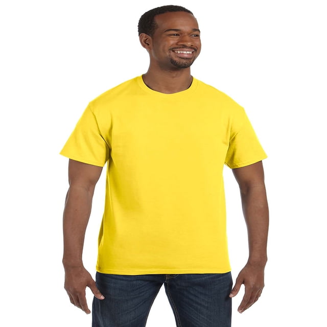 Hanes Men's Authentic-T T-Shirt
