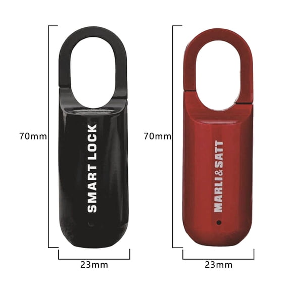 Maoww Mini Cadenas à Empreinte Digitale Léger, Portable et à Usages Larges pour Poussette, Bagage, Meubles