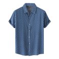 thumbnail image 1 of RKSTN Chemise pour Homme Plage Hawaïenne Décontractée Chemise à Pois Col Rabattu Blouse à Manches Courtes Hauts, 1 of 9