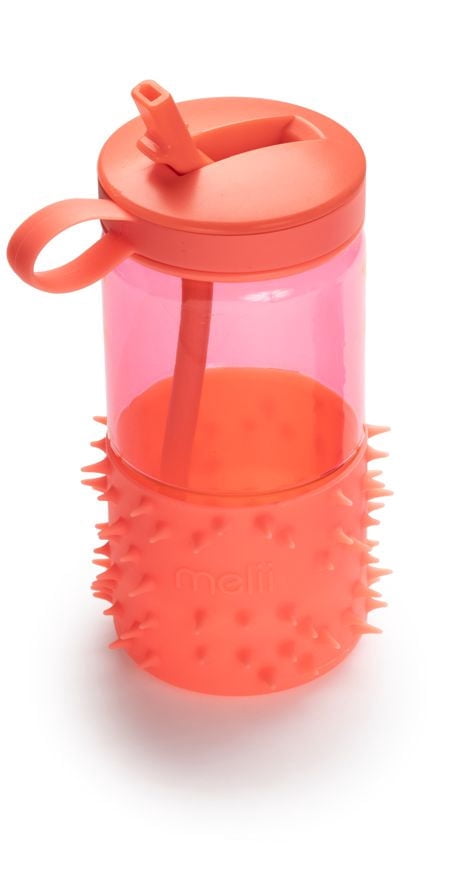 Toddler and Kids Spikey Water Bottle with Straw and handle