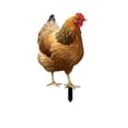 thumbnail image 1 of Poultry Decoration Yard Insert Rooster Acrylic Sticker Yard Art Decoration Yard Decoration Acrylic Double Sided Printed Party Cards Animal Garden Decoration, 1 of 4
