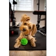 thumbnail image 2 of Omega Paw Giggle Tricky Treat Ball Dog Toy Medium 3.5", 2 of 5