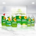 thumbnail image 3 of Green Works Dishwashing Liquid,, 3 of 5