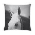thumbnail image 2 of Ahgly Company Animals Horse Coussin Intérieur, 18 Pouces par 18 Pouces, 2 of 6