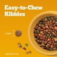 thumbnail image 4 of PEDIGREE VITALITY+ Dry Food For Adult Dogs – Grilled Steak & Vegetable Flavour - Supports Strong Bones and Healthy Teeth – With Calcium 20 kg, 4 of 11