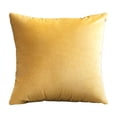 thumbnail image 2 of QIPOPIQ Velvet Pillow, Sofa Bed Bedroom Decorative Throw Pillow, 2 of 6