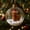 A A, variante sur ABPWLY Boule de Neige de Noël Animal Ornement Verre Miniature Chapeau du Père Noël Forêt Hibou Raton Laveur Paresseux Bétail Capybara Pingouin Suspendu Arbre Fête Festive Cadeau pour Amateur d'Animaux de Compagnie Scène de Neige Mini de Table de Collection