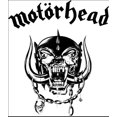 thumbnail image 2 of Motorhead Horned Skull White 2X-Large T-Shirt, 2 of 3
