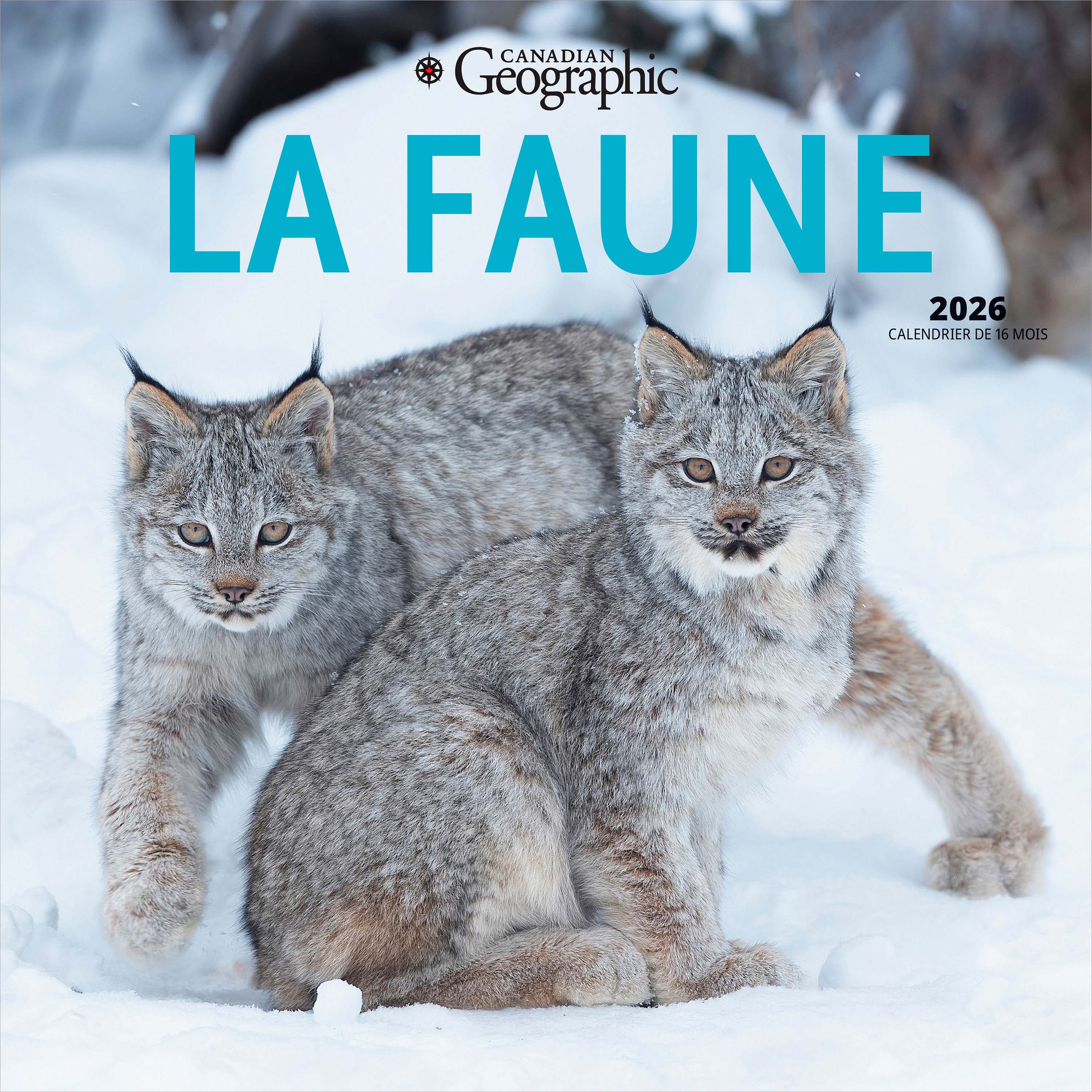 Canadian Geographic La faune 2026 Carré FRANÇAISE Wyman DÉJOUER