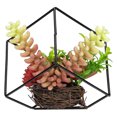 thumbnail image 5 of Northlight 5.5" Artificial Succulent Arrangement in Black Metal Wire Frame, 5 of 5