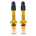 thumbnail image 1 of 2PCS Bike Tubeless Tires Valve Stem Aluminum Alloy for Presta Valve 40MM, 1 of 12