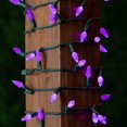 thumbnail image 3 of Novelty Lights 24FT 70 LED C6 Purple Christmas Outdoor String Lights, 3 of 8