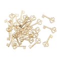 thumbnail image 3 of Key Charms Keys Bulk Metal Key Pendants Vintage Style Key Set Charms for Jewelry KC gold 100pcs, 3 of 9