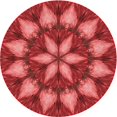 thumbnail image 1 of Ahgly Company Machine Washable Indoor Round Transitional Red Area Rugs, 4' Round, 1 of 7