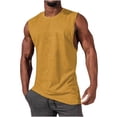 thumbnail image 1 of Timegard Débardeurs Hommes Couleur Unie Col Rond Tee Basique Confortable Sans Manches Chemises Décontractées Athlétiques, 1 of 5
