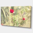 thumbnail image 2 of Meadow with Wild Poppy Flowers - Large Flower Canvas Art Print, 2 of 3