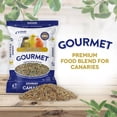 thumbnail image 2 of HARI Gourmet Premium Seed Mix for Canaries - 1 kg (2.2 lb), 2 of 8