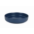 thumbnail image 1 of Mainstays Alessandra Matte Blue Stoneware Round Dinner Bowl, 1 of 5