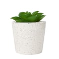 thumbnail image 2 of Anko Artificial Succulent in Pot, 2 of 5